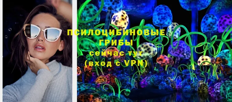 Галлюциногенные грибы MAGIC MUSHROOMS  купить   OMG ССЫЛКА  Тюкалинск 